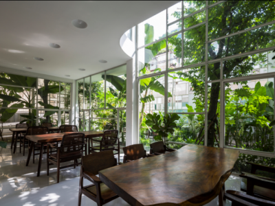 “Phù phép” ngôi nhà cũ kỹ thành không gian tràn ngập cây xanh giữa lòng Sài Gòn